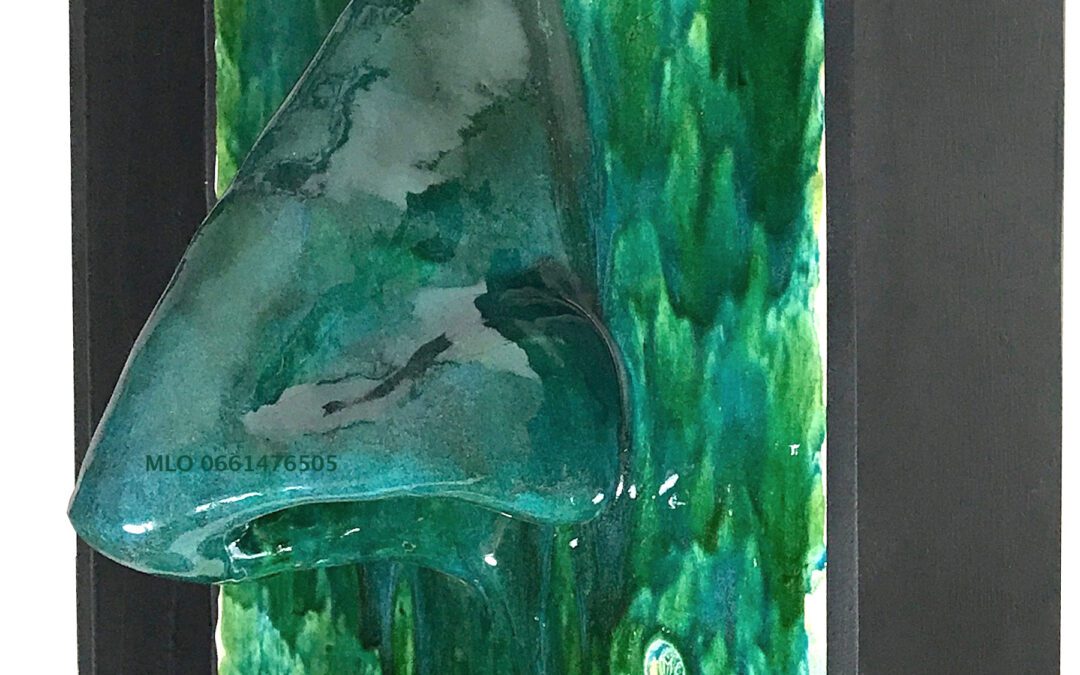 Transparence végétale